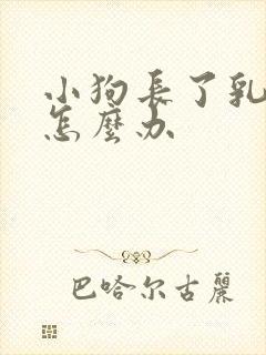 小狗长了乳腺瘤怎么办