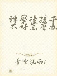 转学后孩子成绩不好怎么办