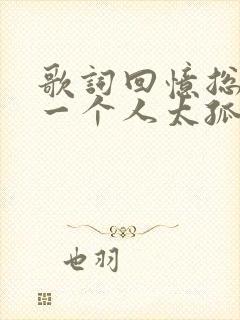 歌词回忆总想哭一个人太孤独是什么歌