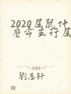2020属鼠什么命五行属什么封面