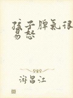 孩子脾气很暴躁易怒