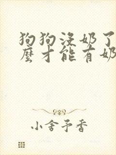 狗狗没奶了吃什么才能有奶