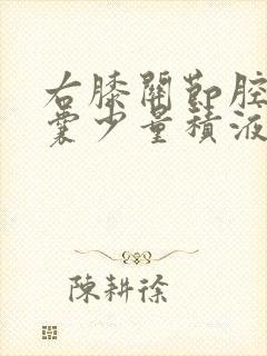 右膝关节腔髌上囊少量积液