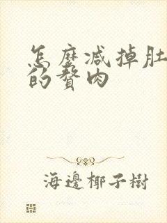 怎么减掉肚子上的赘肉封面