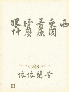 眼睛看东西模糊什么原因