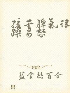 孩子脾气很大暴躁易怒