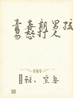 青春期男孩暴躁易怒打人