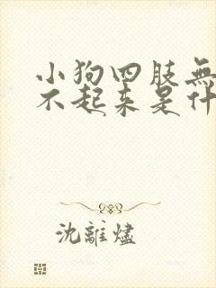 小狗四肢无力站不起来是什么病