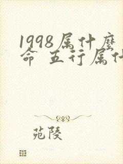 1998属什么命 五行属什么封面