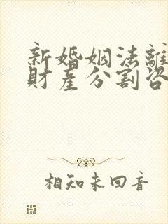 新婚姻法离婚争财产分割咨询律师