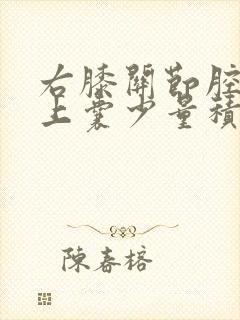 右膝关节腔及髌上囊少量积液.