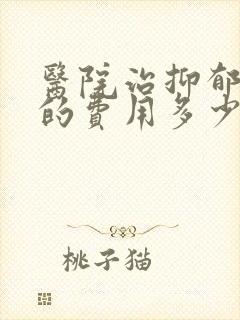 医院治抑郁状态的费用多少钱