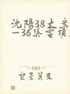 沈阳38大案1—36集电视剧免费观看