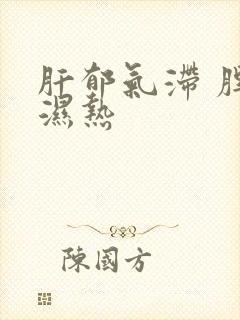 肝郁气滞 脾虚湿热