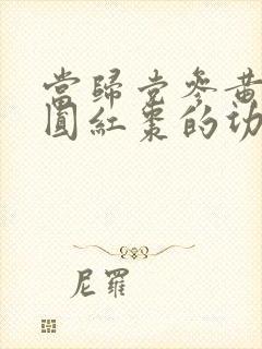 当归党参黄芪桂圆红枣的功效