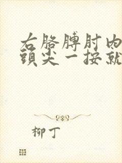 右胳膊肘内侧骨头尖一按就疼
