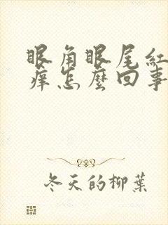 眼角眼尾红肿发痒怎么回事
