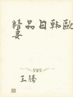 精品日韩欧美人妻