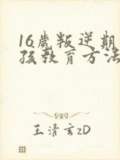 16岁叛逆期男孩教育方法封面