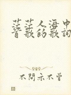 茫茫人海中是哪首歌的歌词封面