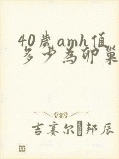 40岁amh值多少为卵巢衰落