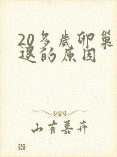 20多岁卵巢衰退的原因