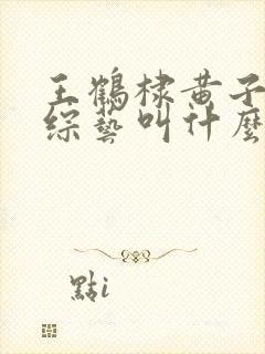王鹤棣黄子韬新综艺叫什么