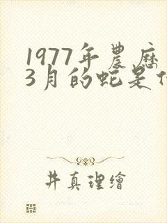 1977年农历3月的蛇是什么命封面