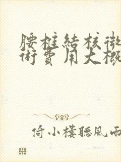 腰椎结核微创手术费用大概是多少