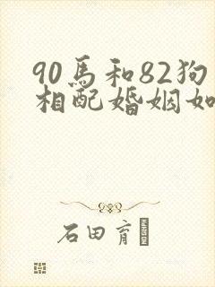 90马和82狗相配婚姻如何