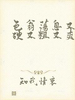 色翁荡息又大又硬又粗又爽小莹