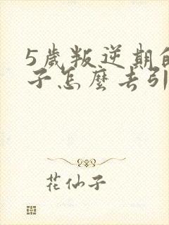 5岁叛逆期的孩子怎么去引导封面