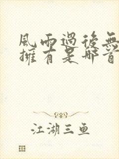 风雨过后无所谓拥有是哪首歌的歌词