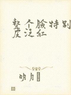 整个脸特别干脱皮泛红封面
