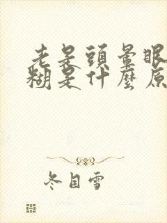 老是头晕眼睛模糊是什么原因