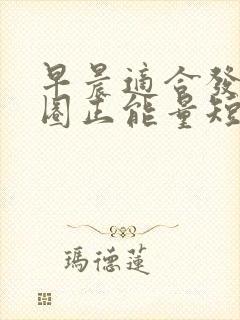 早晨适合发朋友圈正能量短句