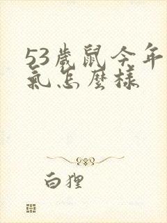 53岁鼠今年运气怎么样