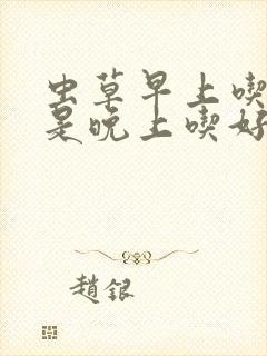 虫草早上吃好还是晚上吃好