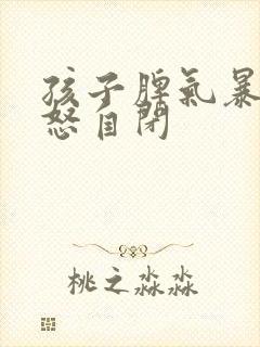 孩子脾气暴躁易怒自闭