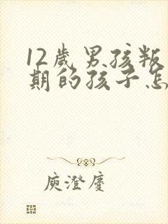 12岁男孩叛逆期的孩子怎么去引导