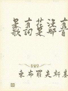 是有花没有果 歌词是哪首歌