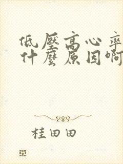 低压高心率快是什么原因啊