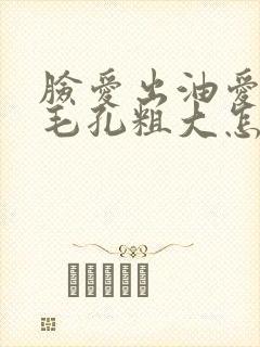 脸爱出油爱长痘毛孔粗大怎么办