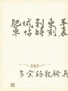 肥城到东平的汽车站时刻表封面