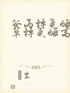 谷丙转氨酶和谷草转氨酶高怎么办封面