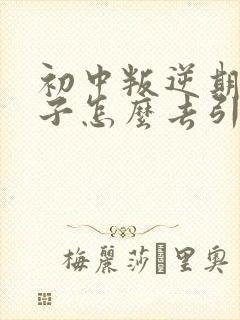 初中叛逆期的孩子怎么去引导封面