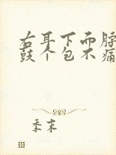 右耳下面脖子上鼓个包不痛不痒封面