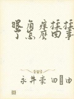 眼角痒揉揉就肿了怎么回事