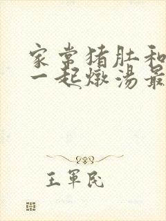 家常猪肚和什么一起炖汤最有营养