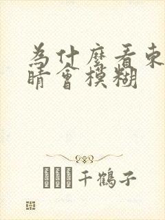 为什么看东西眼睛会模糊